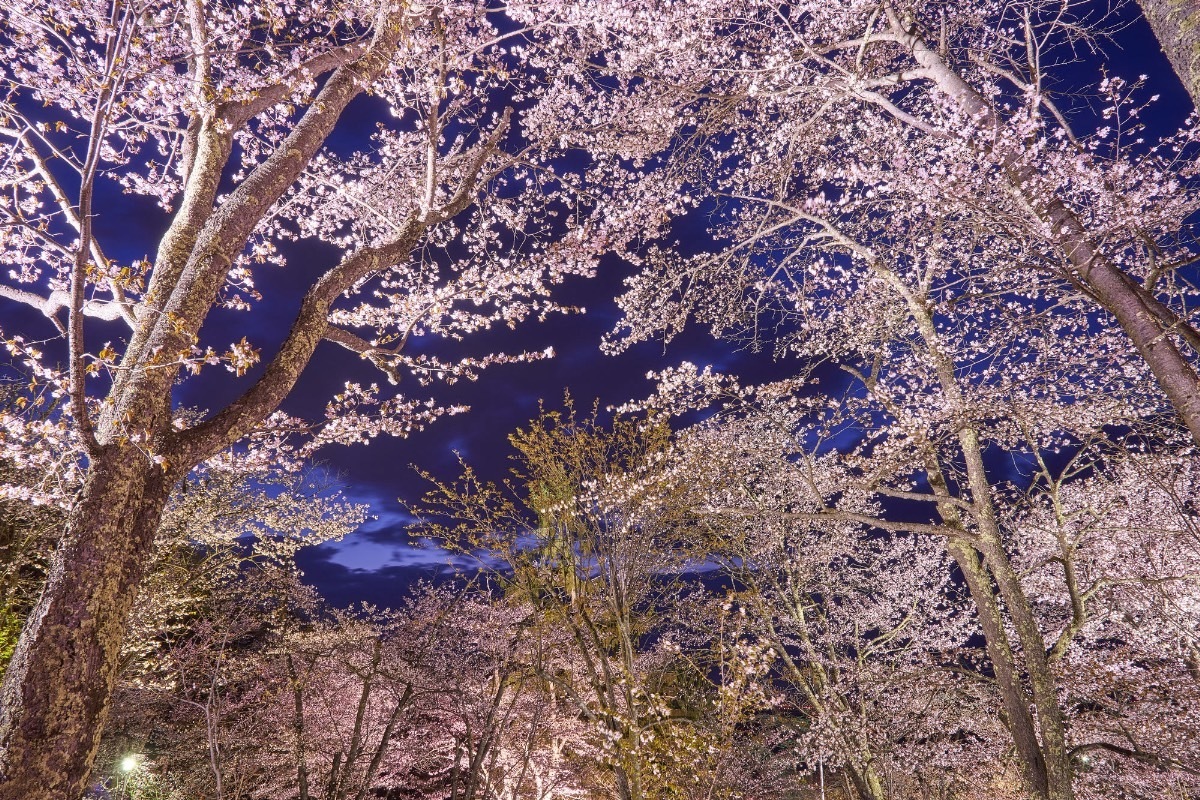 健診