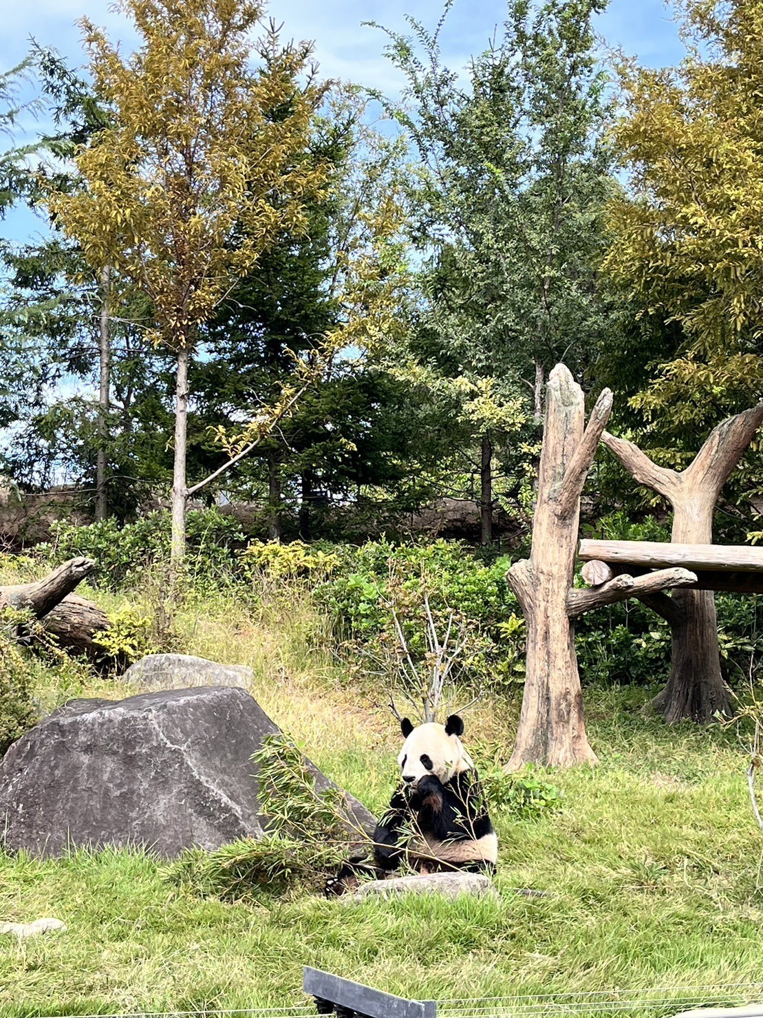 健診