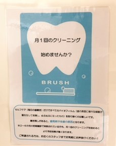 被せ物見本模型