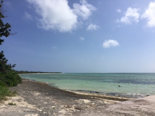 1周年記念イベントご案内